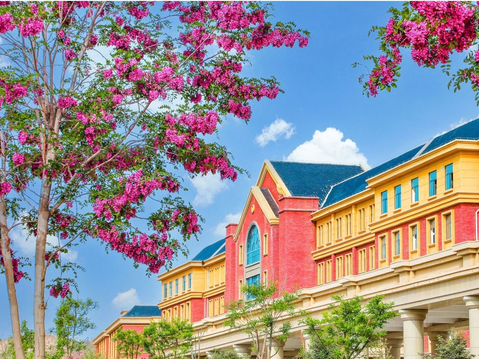 英国上市公司官网365：聚合资源，加强学科建设，培养高质量应用型人才